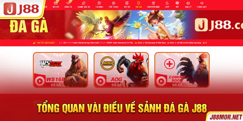 Tổng quan vài điều về sảnh đá gà J88