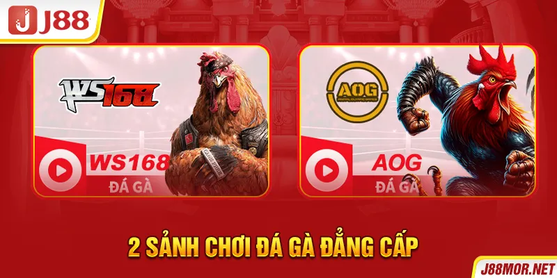 2 sảnh chơi đá gà đẳng cấp