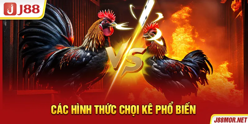 Các hình thức chọi kê phổ biến
