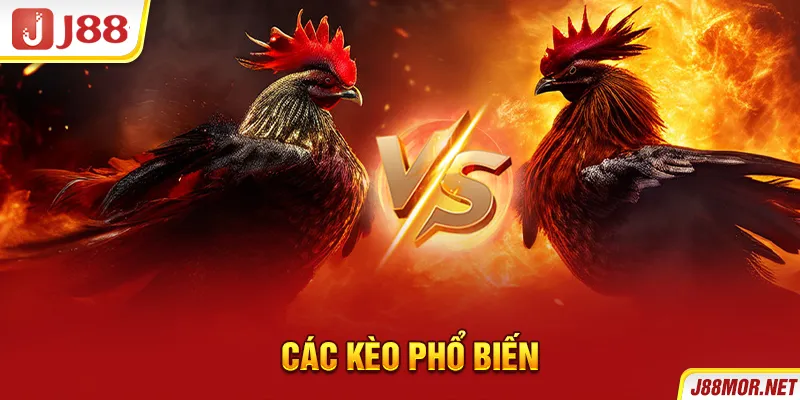 Các kèo phổ biến