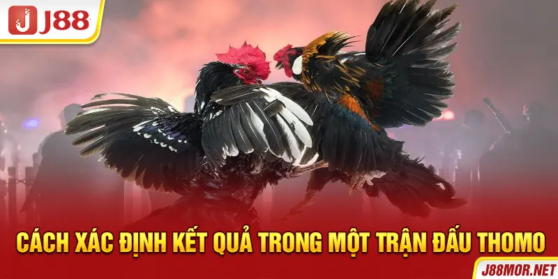 Cách xác định kết quả trong một trận đấu Thomo