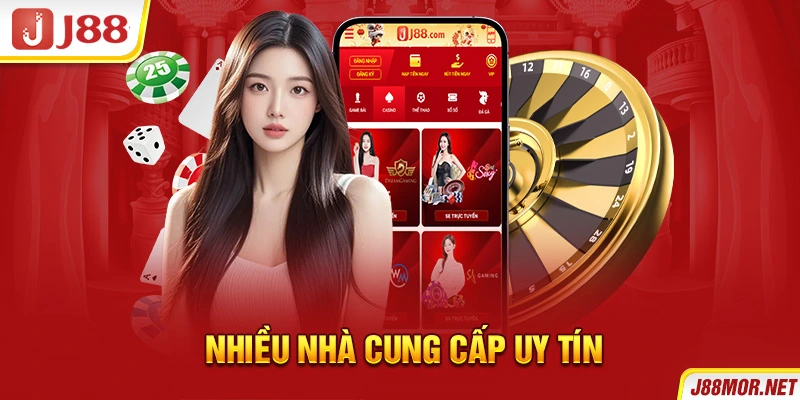 Nhiều nhà cung cấp uy tín