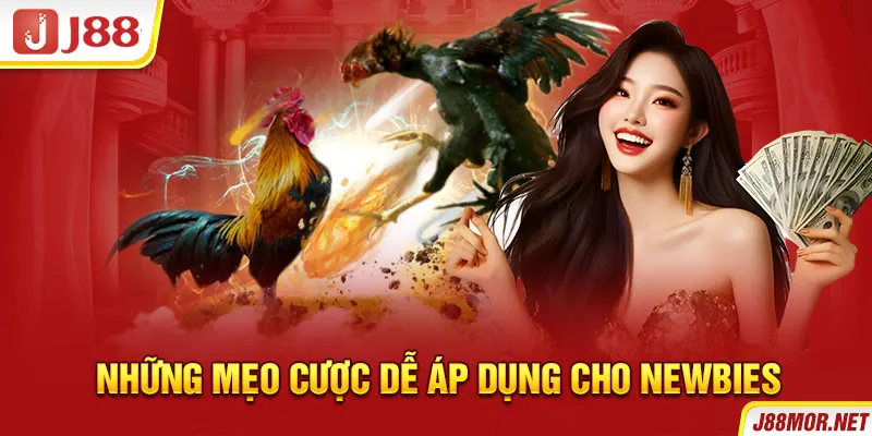 Những mẹo dễ áp dụng cho newbies