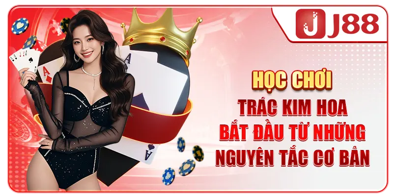 Học chơi Trác Kim Hoa bắt đầu từ những nguyên tắc cơ bản